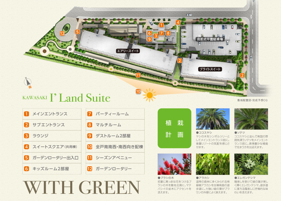 敷地配置図・完成予想CG KAWASAKI I’Land Suite 1:メインエントランス 2:サブエントランス 3:ラウンジ 4:スイートスクエア（共用棟） 5:ガーデンロータリー出入口 6:キッズルーム2部屋 7:パーティールーム 8:マルチルーム 9:ゲストルーム２部屋 10:全戸南南西・南西向き配棟 11:シーズンアベニュー 12:ガーデンロータリー 植栽計画 ●ココスヤシ ヤシの木をシンボルツリーとしてメインエントランス前に。楽園リゾートの気配を感じさせます。 ●ソテツ ココスヤシと並んで南国の雰囲気漂うソテツをメインエントランス前に。表情豊かな植栽で住まう方を出迎えます。 ●ブラシの木 初夏に真っ赤な花をつけるブラシの木を敷地北側に。マテバシイの並木にアクセントを添えます。 ●アラカシ 温帯の森林に多くみられる常緑樹アラカシを住棟南面の遊歩道に。力強い緑の葉がブラウンの外壁によく映えます。 ●エレガンテシマ 陽差しを受けて緑の葉が美しく輝くエレガンテシマ。遊歩道に落ちる陽差しに抒情的な味わいを添えます。