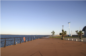 東扇島東公園