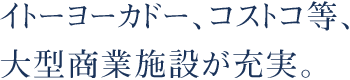 イトーヨーカドー、コストコ等、大型商業施設が充実。